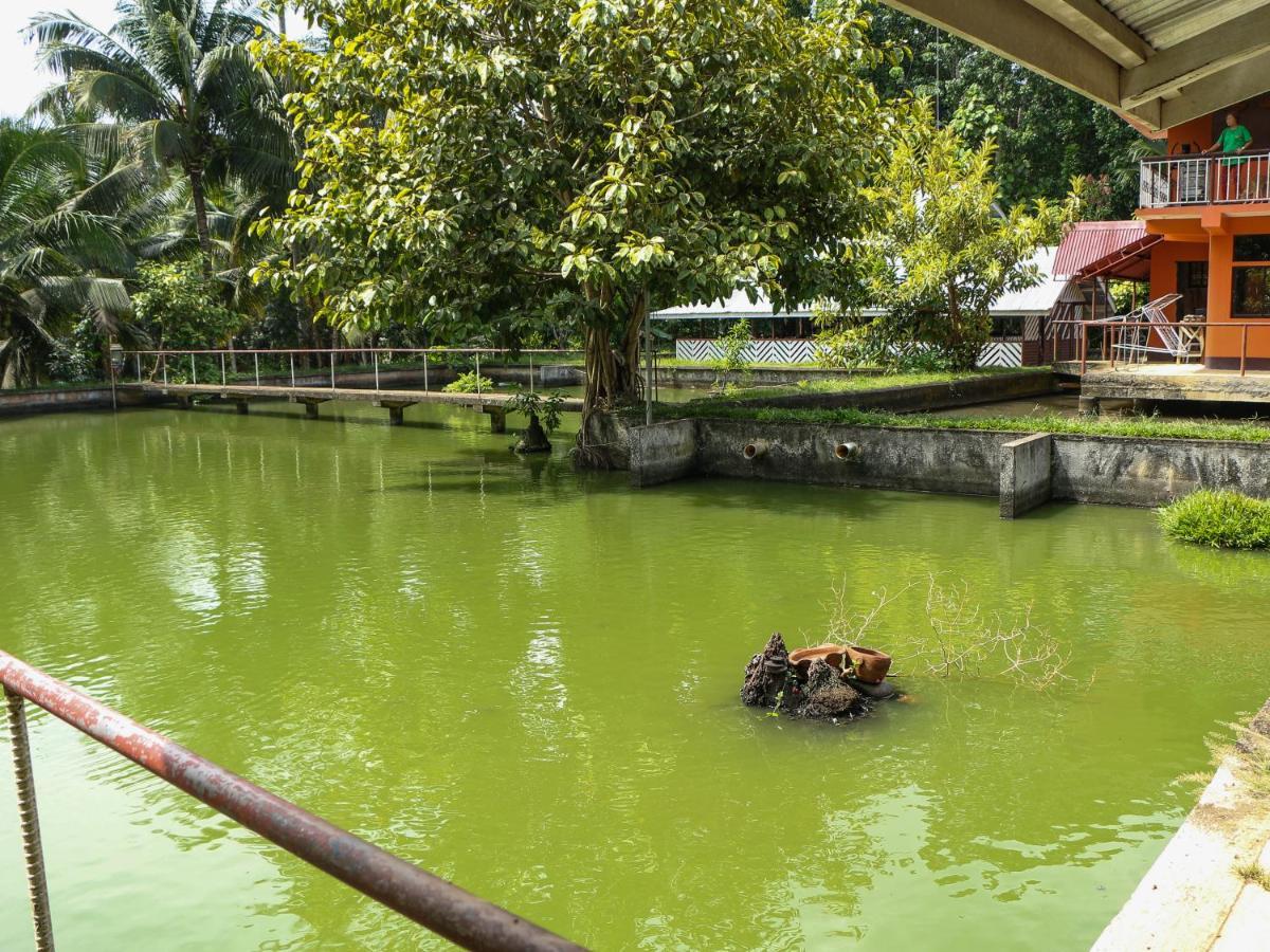 Jconfarm Hotel Calamba  Exterior photo